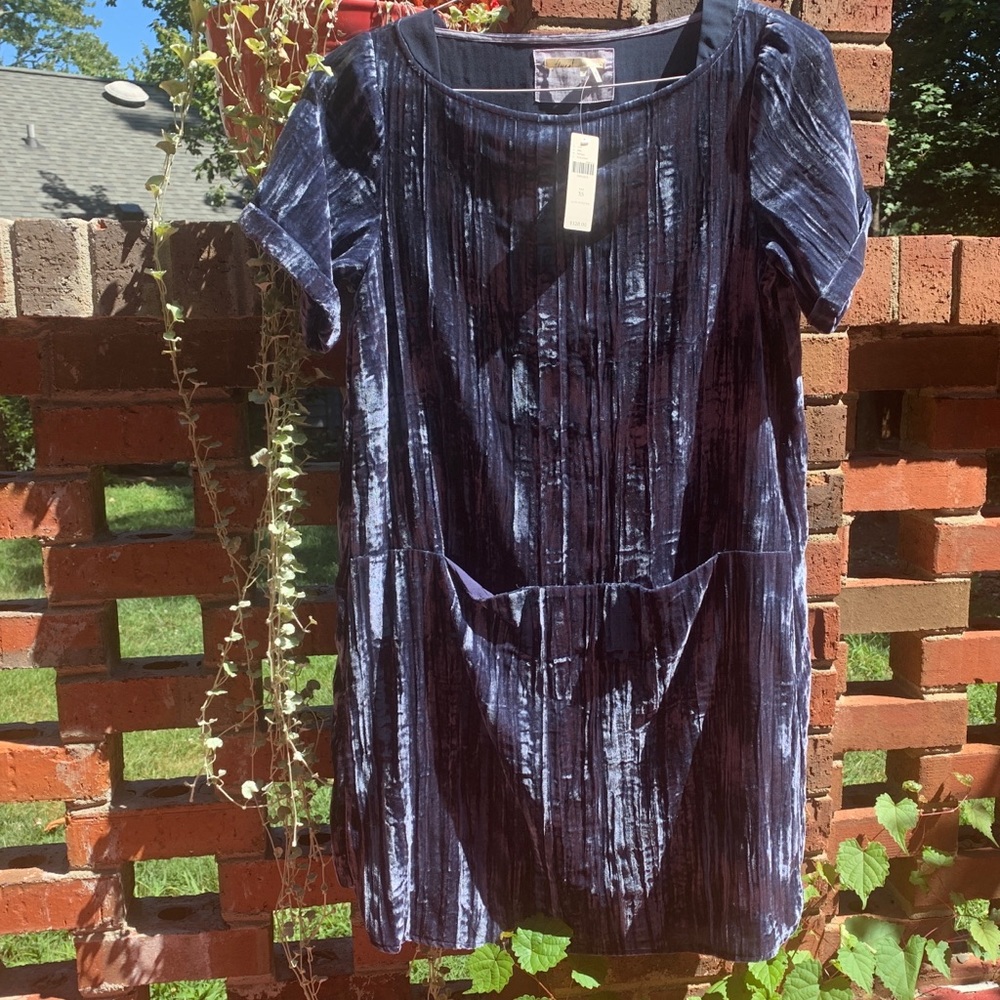 NWT Anthropologie Foreat Crinkled Velvet Tunic Dress